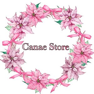 logo parceiros - canae store